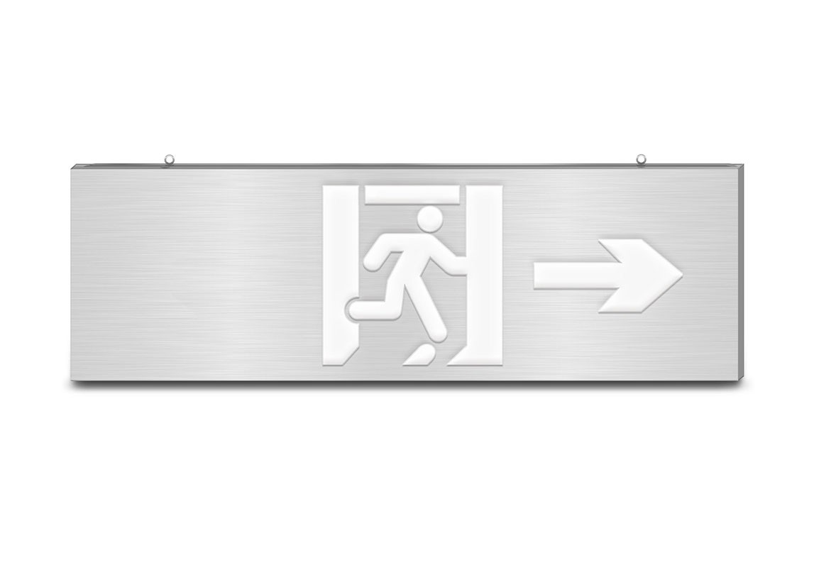 800大型款-双面单向口消防应急标志灯  | ZS-BLJC-2LRE Ⅲ 3W-J851 |  吊挂