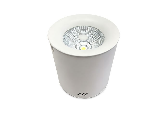B型灯-吸顶-消防应急照明灯具 ZS-ZM-BCJ-30W-01Q